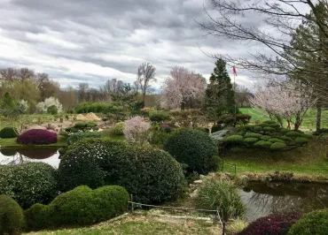 Erik Borja's zen garden