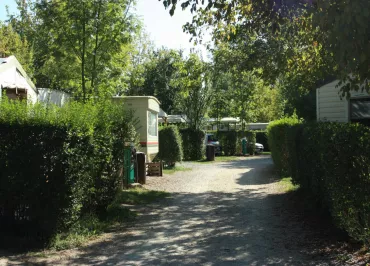 allée du camping