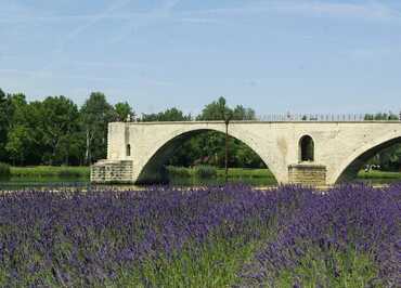 Avignon Bridge - Pont Saint Benezet