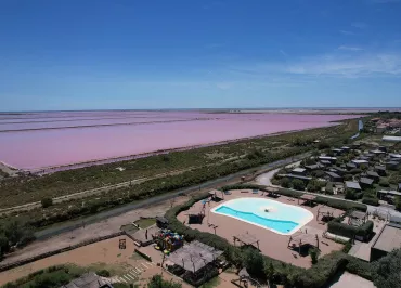 The Driftwood of Camargue