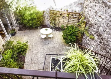 L'Olivier dans la cour