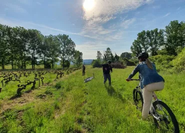 Rando loisir en VTTAE autour de Vallon-Pont-d'Arc "Vignes et garrigue "