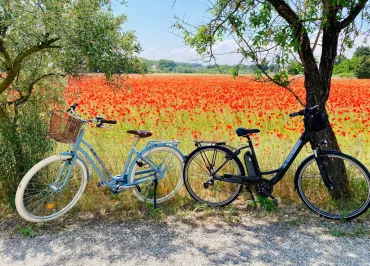 Orange Bike Via Rhôna