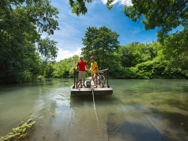Boat trip in the natural reserve of Île de la Platière