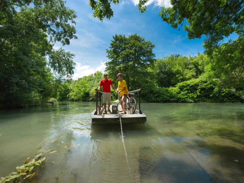 Boat trip in the natural reserve of Île de la Platière