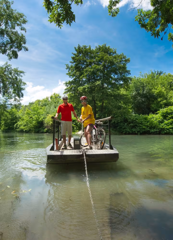 Boat trip in the natural reserve of Île de la Platière