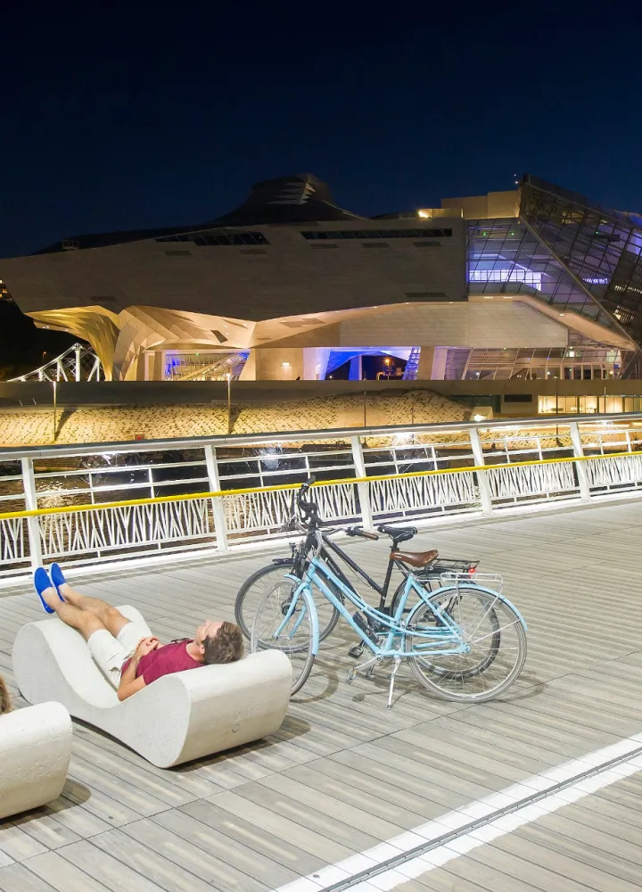 Pont Raymond Barre et le Musée des Confluences de nuit - Lyon