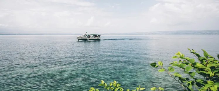 Geneva lake