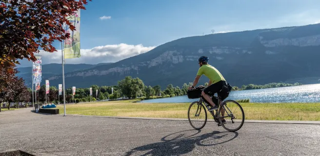 Cycliste sur ViaRhôna