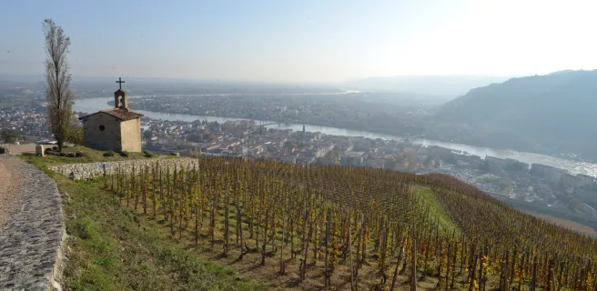  From the vineyards of Tain to the dancing rocks - Cycling loop n°9