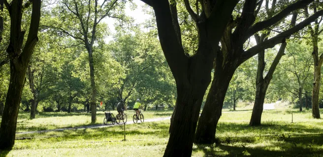 The Lorient Park - Cycling Loop n°2
