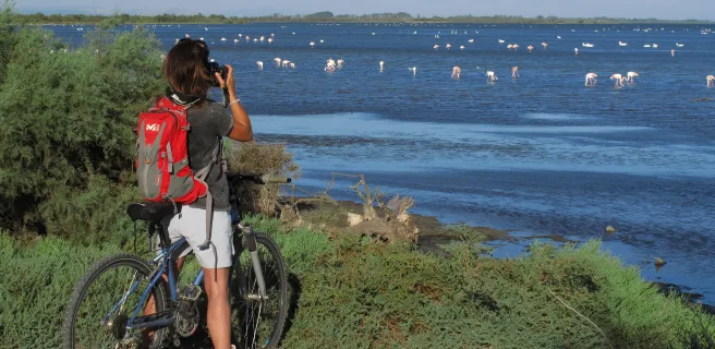 Discovery of the Vaccarès Pond