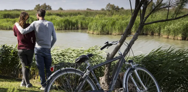 Arles / Port-St-Louis-du-Rhône