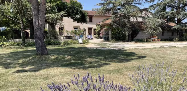 A votre arrivée, entre lavande et laurier rose, sous l'ombre du pin parasol