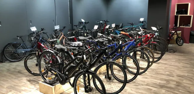 Bike rental and repair with Rhonavelo