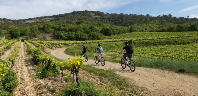 ALLVELO: Local electric bike tours, athletic rides, and events