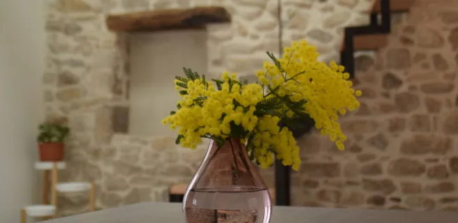 Gite le Patio