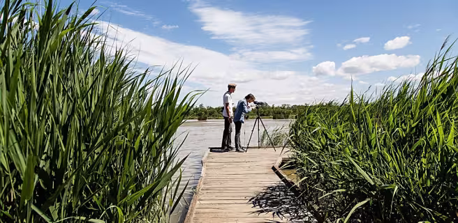 The marshes of the Vigueirat