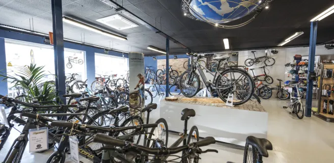 Dynamo Cycles