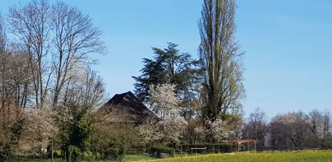 Vue du gite à votre arrivée - Coté Sud
