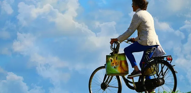 Bois de lune bike rental