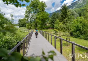 Cyclist on the ViaRhôna