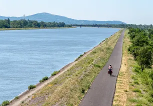 Cyclist with a view of the Rhône