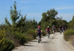 Les Marais du Vigueirat 