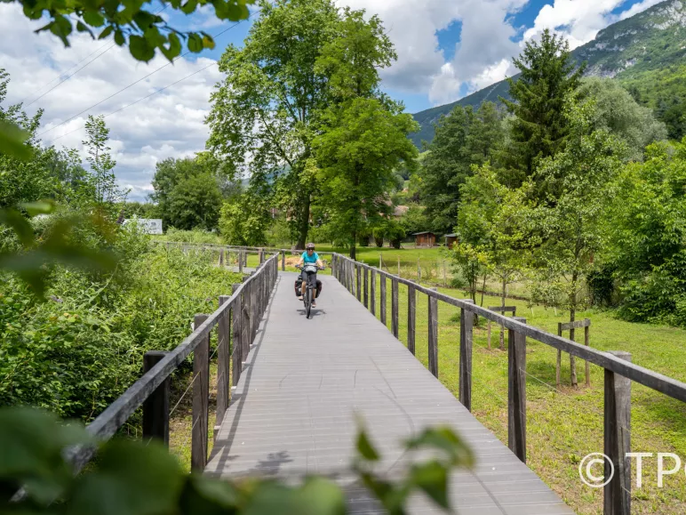 Cyclist on the ViaRhôna