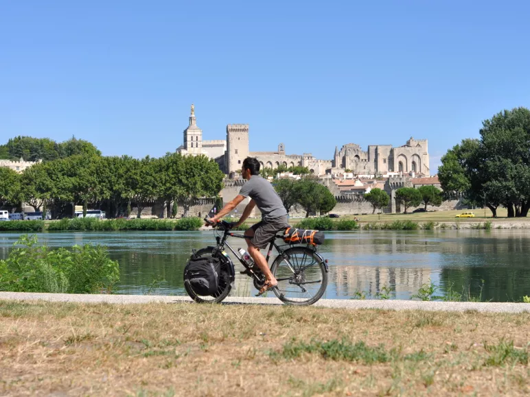 Avignon et la cité des papes