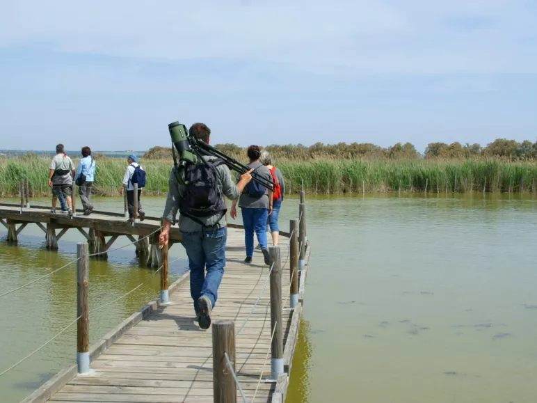 La réserve naturelle régionale du Scamandre 