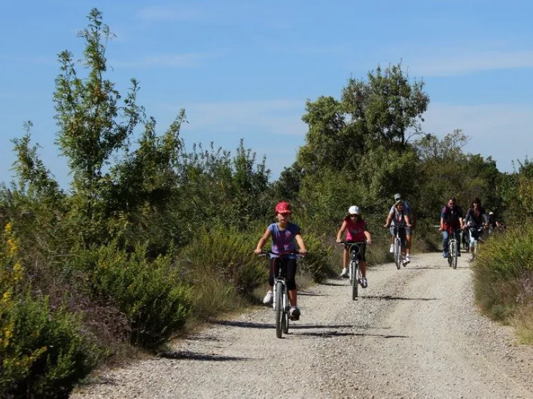 Les Marais du Vigueirat 